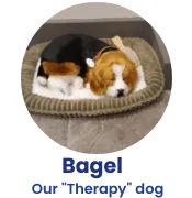 Bagel