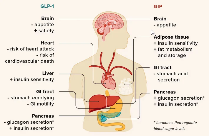 semaglutide tirzepatide effects