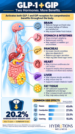 GLP-1 GIP Summary (1) GLP-1 GIP Summary